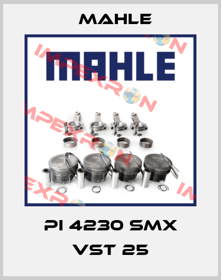 PI 4230 SMX VST 25 MAHLE