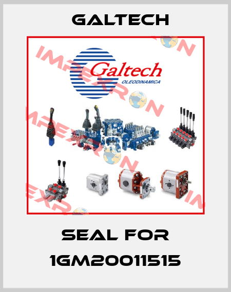seal for 1GM20011515 Galtech