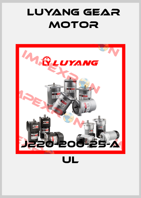 J220-200-25-A UL Luyang Gear Motor