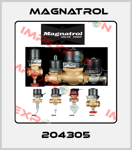 204305 Magnatrol