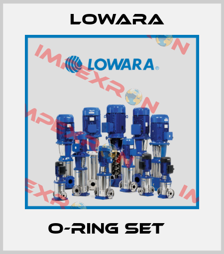 O-RING SET   Lowara
