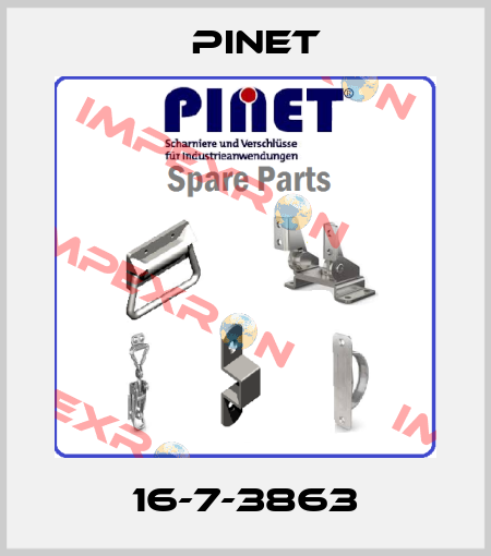 16-7-3863 Pinet