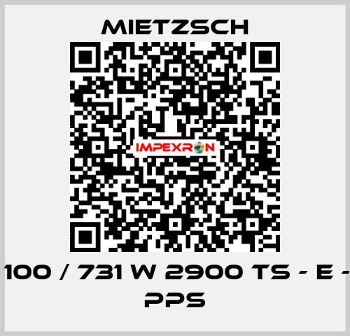 VRE 100 / 731 W 2900 TS - E - GD - PPs Mietzsch