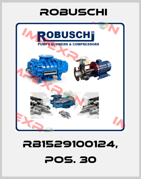 RB1529100124, Pos. 30 Robuschi
