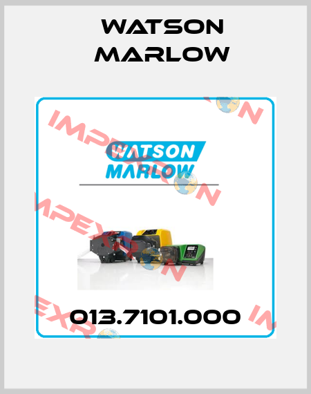 013.7101.000 Watson Marlow