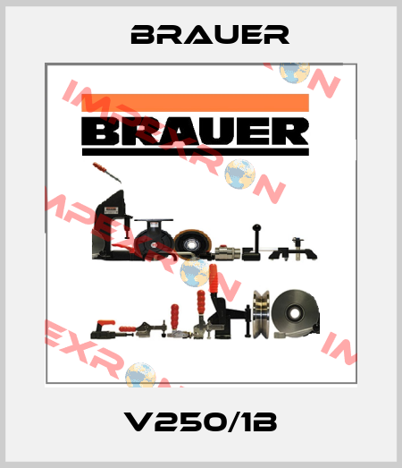 V250/1B Brauer