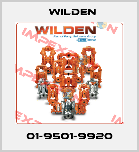 01-9501-9920 Wilden