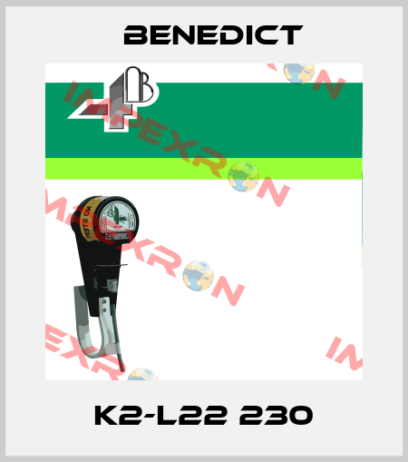 K2-L22 230 Benedict