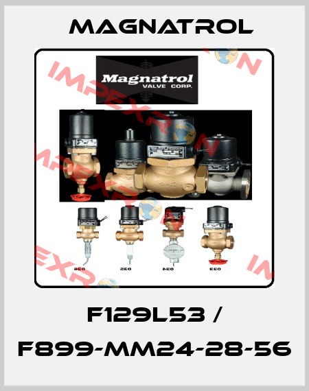 F129L53 / F899-MM24-28-56 Magnatrol