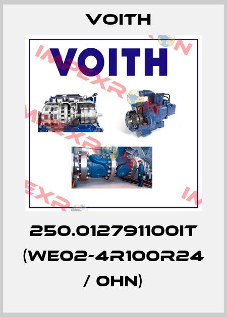 250.012791100IT (WE02-4R100R24 / 0HN) Voith