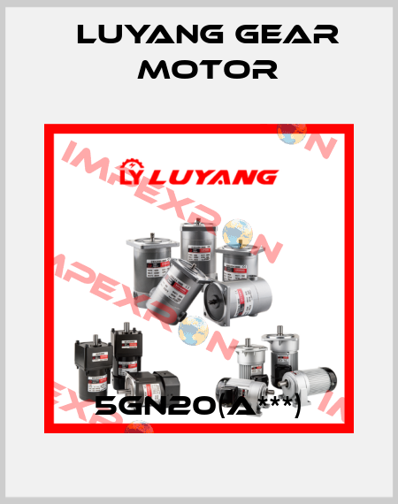 5GN20(A***) Luyang Gear Motor