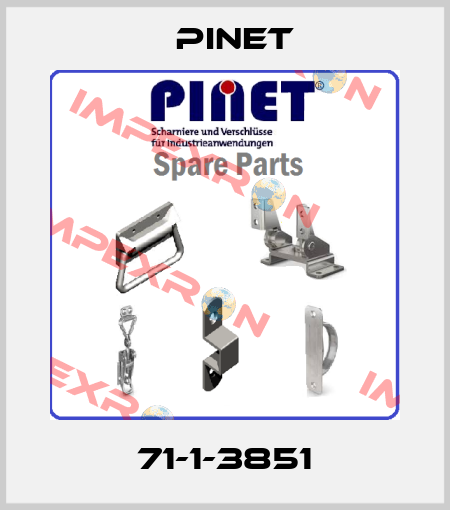 71-1-3851 Pinet