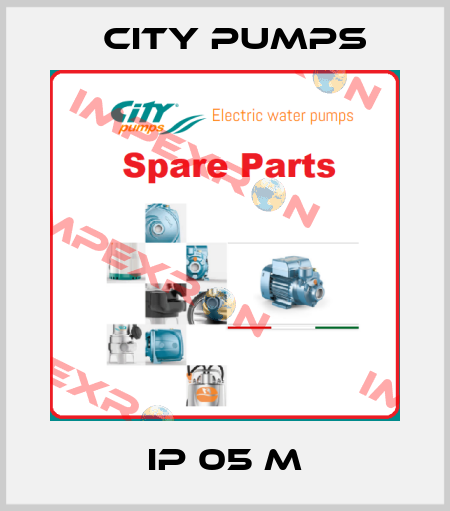 IP 05 M City Pumps