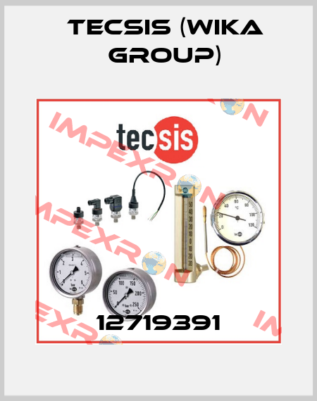 12719391 Tecsis (WIKA Group)