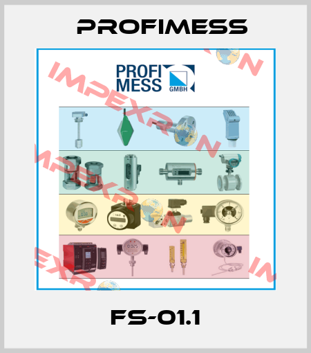 FS-01.1 Profimess