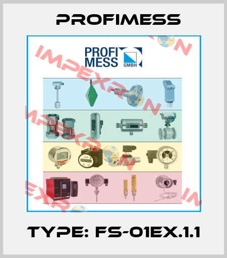 Type: FS-01EX.1.1 Profimess