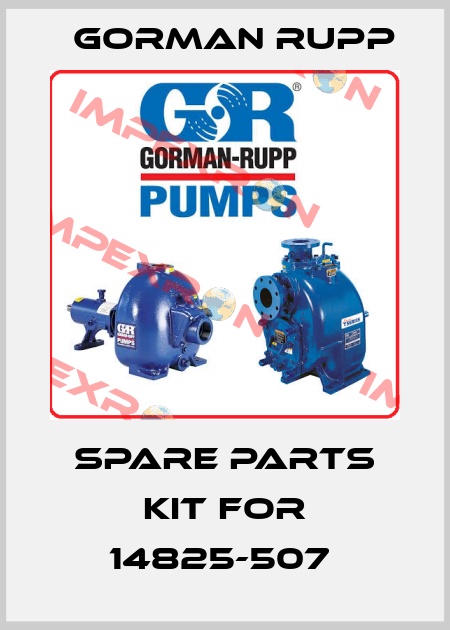 spare parts kit for 14825-507  Gorman Rupp