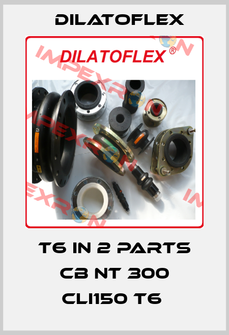 T6 IN 2 PARTS CB NT 300 CLI150 T6  DILATOFLEX