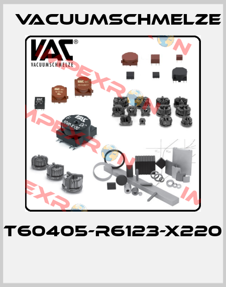 T60405-R6123-X220  Vacuumschmelze