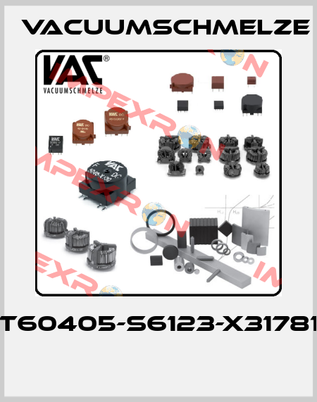 T60405-S6123-X31781  Vacuumschmelze