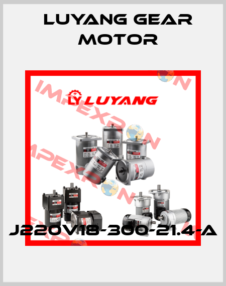 J220V18-300-21.4-A Luyang Gear Motor
