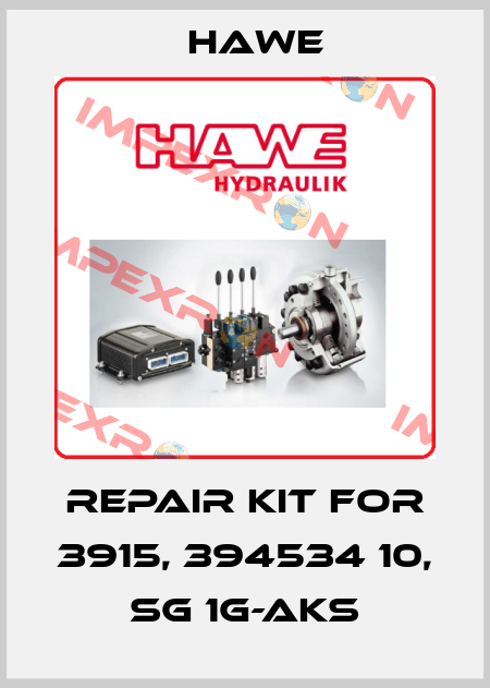 Repair kit for 3915, 394534 10, SG 1G-AKS Hawe