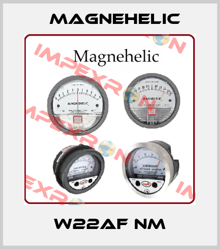 W22AF NM Magnehelic