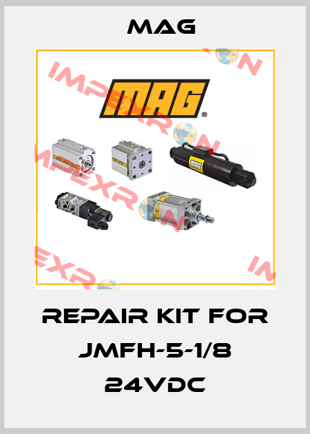repair kit for JMFH-5-1/8 24VDC Mag