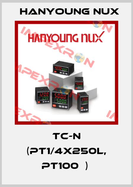 TC-N (PT1/4X250L, PT100Ω)  HanYoung NUX