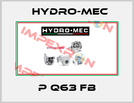 P Q63 FB Hydro-Mec