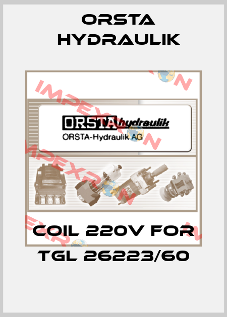 Coil 220V for TGL 26223/60 Orsta Hydraulik