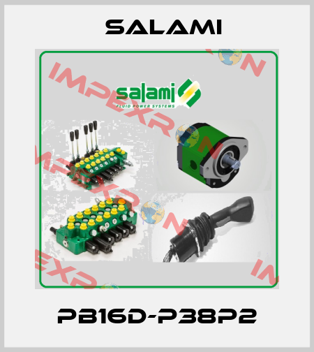 PB16D-P38P2 Salami