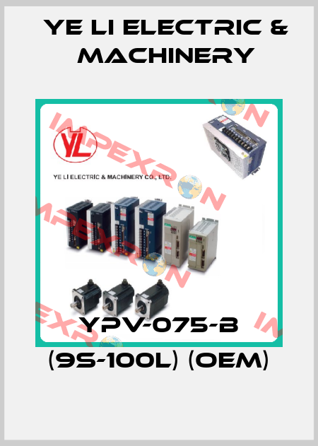 YPV-075-B (9S-100L) (OEM) Ye Li Electric & Machinery