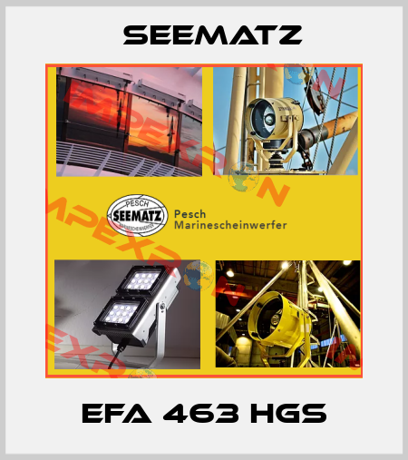 EFA 463 HGS Seematz