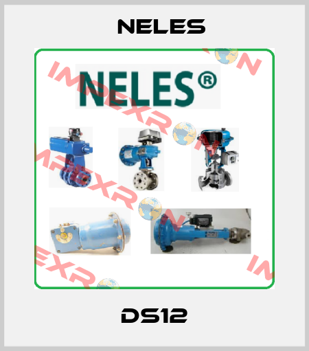DS12 Neles