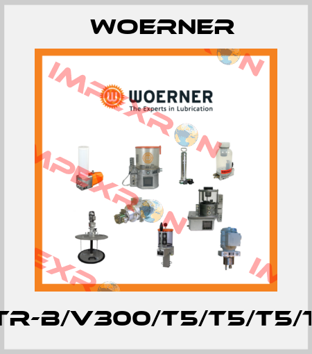 KTR-B/V300/T5/T5/T5/T5 Woerner