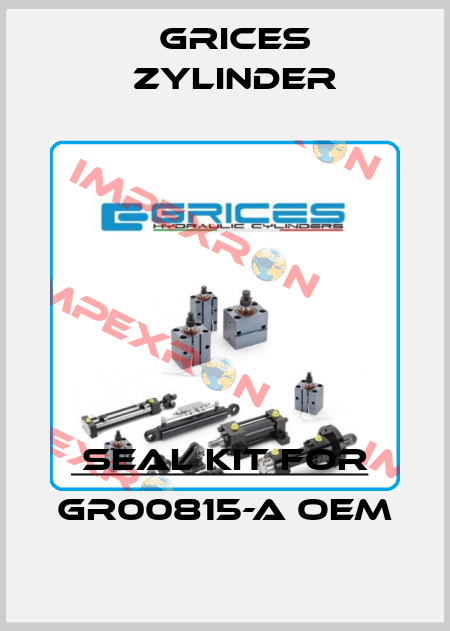 seal kit for GR00815-A OEM Grices Zylinder