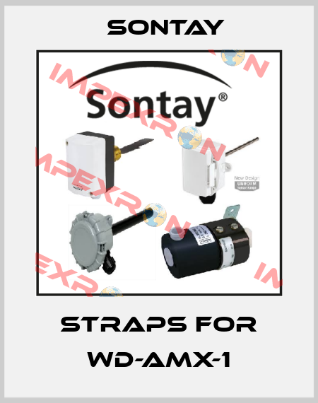 straps for WD-AMX-1 Sontay