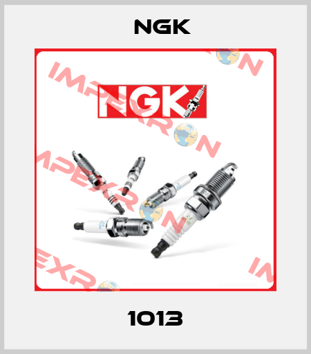 1013 NGK