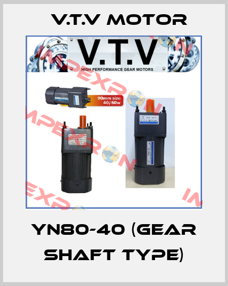 YN80-40 (gear shaft type) V.t.v Motor