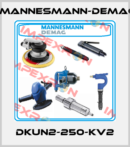 DKUN2-250-KV2 Mannesmann-Demag