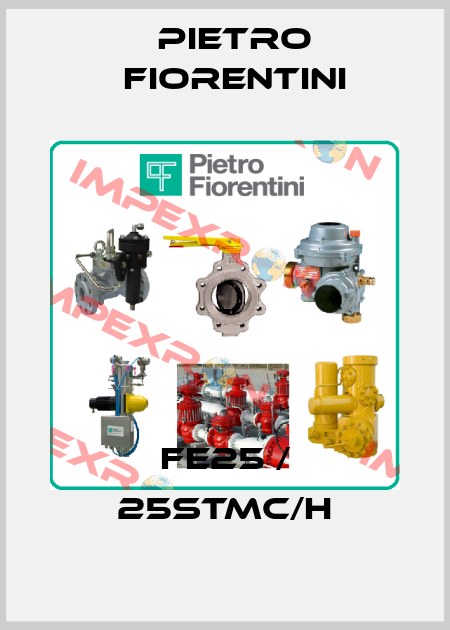 FE25 / 25stmc/h Pietro Fiorentini