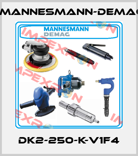 DK2-250-K-V1F4 Mannesmann-Demag