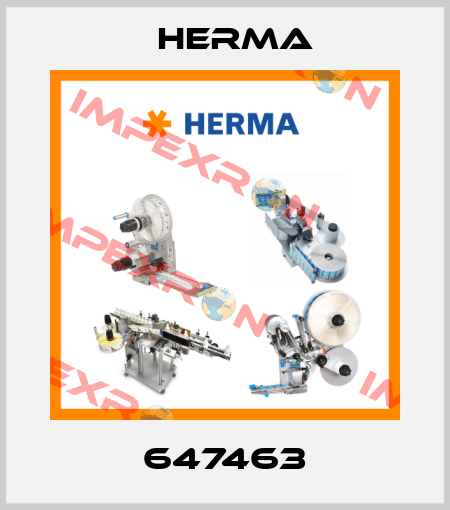 647463 Herma