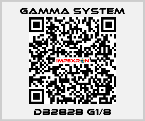 DB2828 G1/8 GAMMA SYSTEM