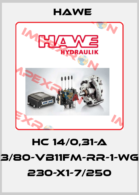 HC 14/0,31-A 3/80-VB11FM-RR-1-WG 230-X1-7/250 Hawe