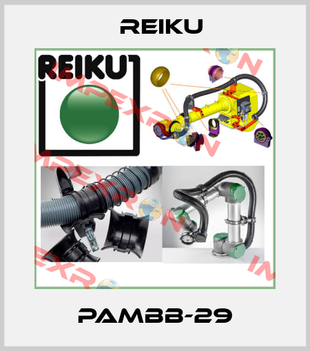 PAMBB-29 REIKU