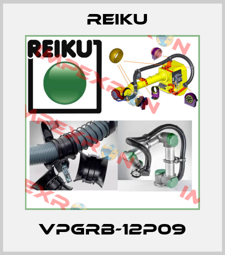 VPGRB-12P09 REIKU