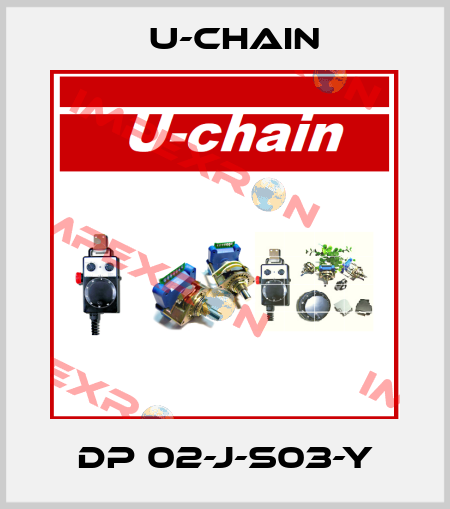 DP 02-J-S03-Y U-chain
