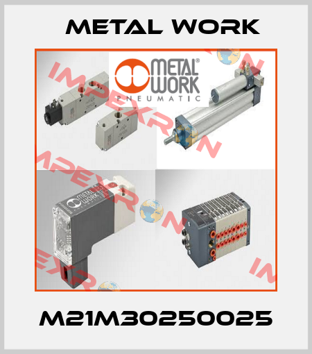 M21M30250025 Metal Work